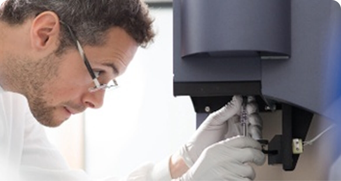Undergraduate Programmes